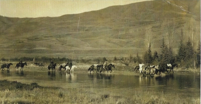 Horses crossing a river with mountains and trees in the background